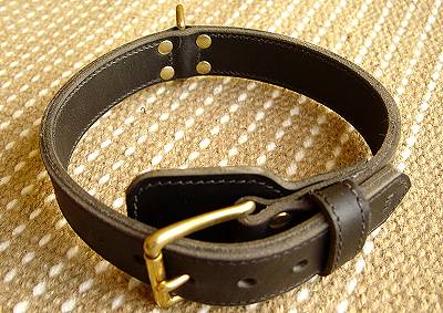 dog leather collar for service dogs