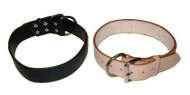 Leather dog collar