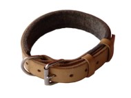 Padded Leather dog collar