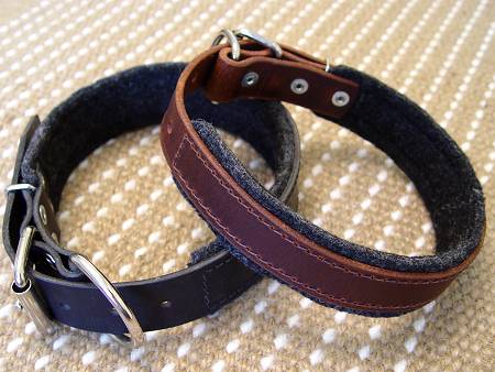 dog collar