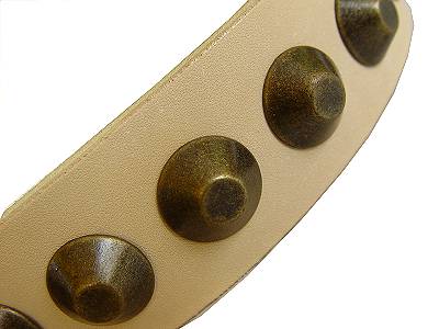 Designer Leather Dog Collar with Row of Brass Cones