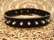 Chic Design Leather Spiked Dog Collar