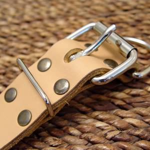 spiked leather dog collar