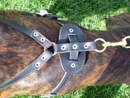 Tracking dog harness made of leather And Created To Fit Boxer H3