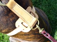 *Muldoon Bloodhound in our Luxury Handcrafted Leather Dog Harness - H7