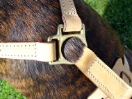 *Muldoon Bloodhound in our Luxury Handcrafted Leather Dog Harness - H7