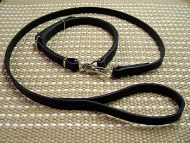 police / hunting dog leash dog collar combo with locking jaw