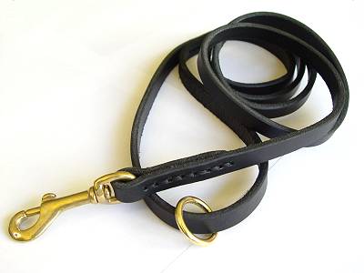 dog leash