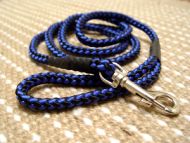 Bright Nylon Cord Dog Leash with Strong Snap Hook