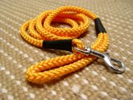 Bright Nylon Cord Dog Leash with Strong Snap Hook