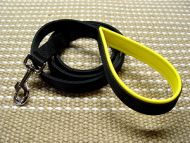 Nylon dog leash