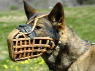 Leather basket dog muzzle