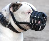 American Bulldog adjustable mesh leather dog muzzle
