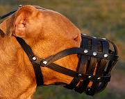 Pitbull adjustable leather training muzzle