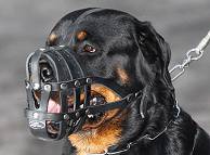 Rottweiler dog leather basket muzzle