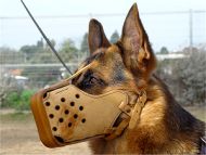 dog muzzle