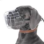 Dog Muzzles Great Dane