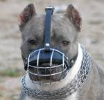 Pitbull Wire Basket Dog Muzzle