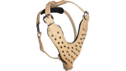 Spiked  Walking dog harness made of leather And Created To Fit Amstaff and similar breeds - product code H9