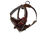 Leather dog harness