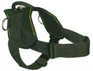 Nylon dog harness for tracking / pulling Designed to fit Dogue De Bordeaux