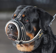 Leather Dog Muzzle