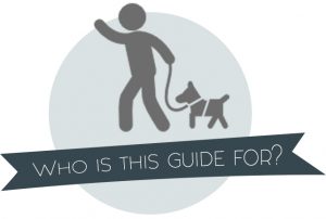 Dog Harness Guide
