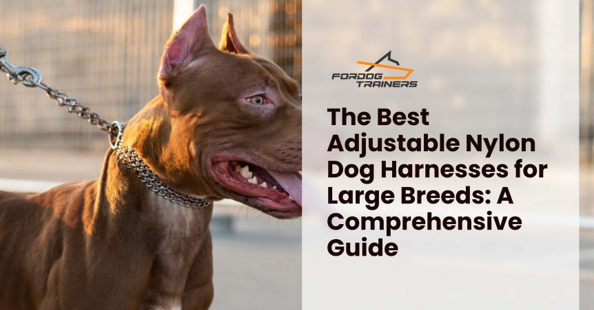 The Best Adjustable Nylon Dog Harnesses for Large Breeds_ A Comprehensive Guide