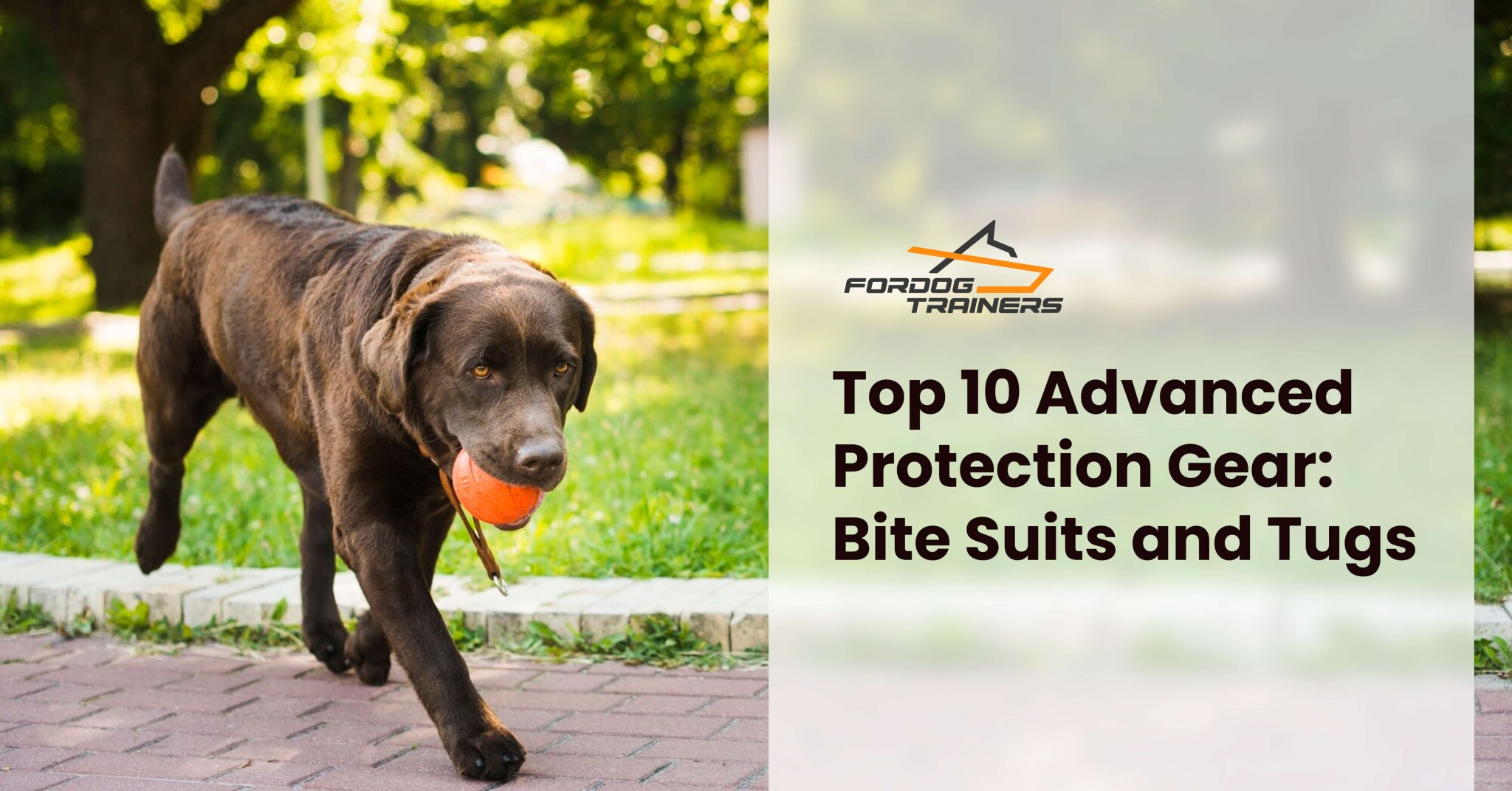 Top 10 Advanced Protection Gear Bite Suits and Tugs ForDogTrainers Blog