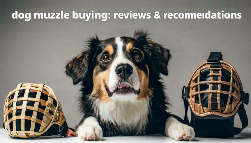 dog muzzle buying: reviews & recommendations