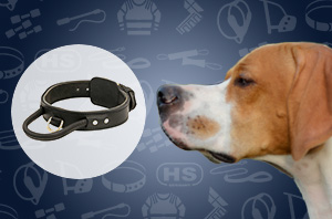 Leather Dog Collar