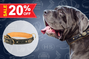 Leather dog collar