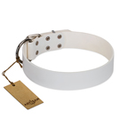"Pure Beauty" FDT Artisan White Leather Dog Collar of Classic Design "Pure Beauty" FDT Artisan White Leather Dog Collar of Classic Design