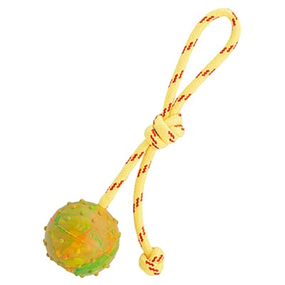2 1/3 inch (6 cm) Training Solid Rubber Dog Ball on String - Medium