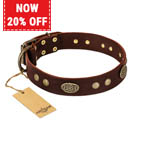 'Old-fashioned Glamor' FDT Artisan Brown Leather Dog Collar with Old Bronze Look Plates and Circles - 1 1/2 inch (40 mm) wide 'Old-fashioned Glamor' FDT Artisan Brown Leather Dog Collar with Old Bronze Look Plates and Circles - 1 1/2 inch (40 mm) wide