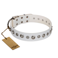 "Infinite Purity" White FDT Artisan Leather Dog Collar with Elegant Decorations "Infinite Purity" White FDT Artisan Leather Dog Collar with Elegant Decorations