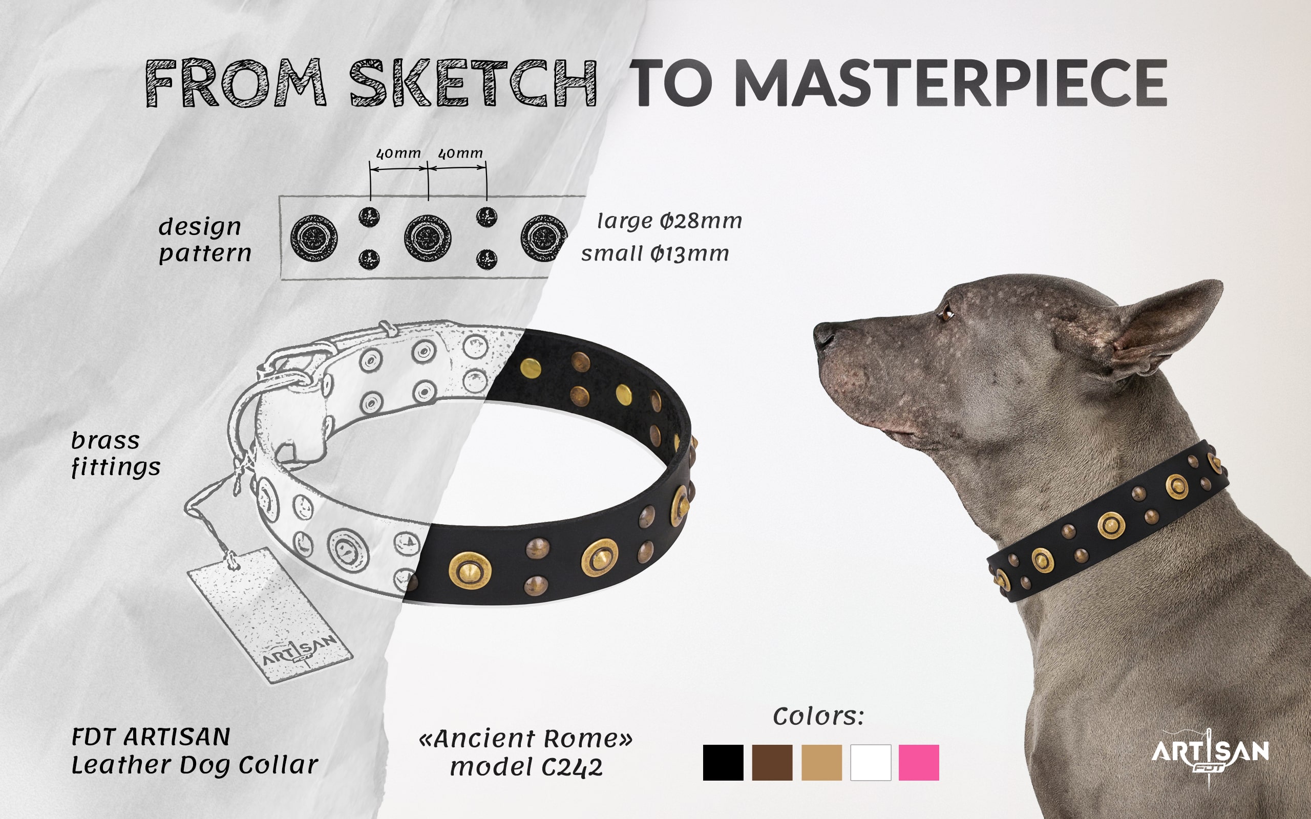 Strong leather dog collar with buckle and D-ring