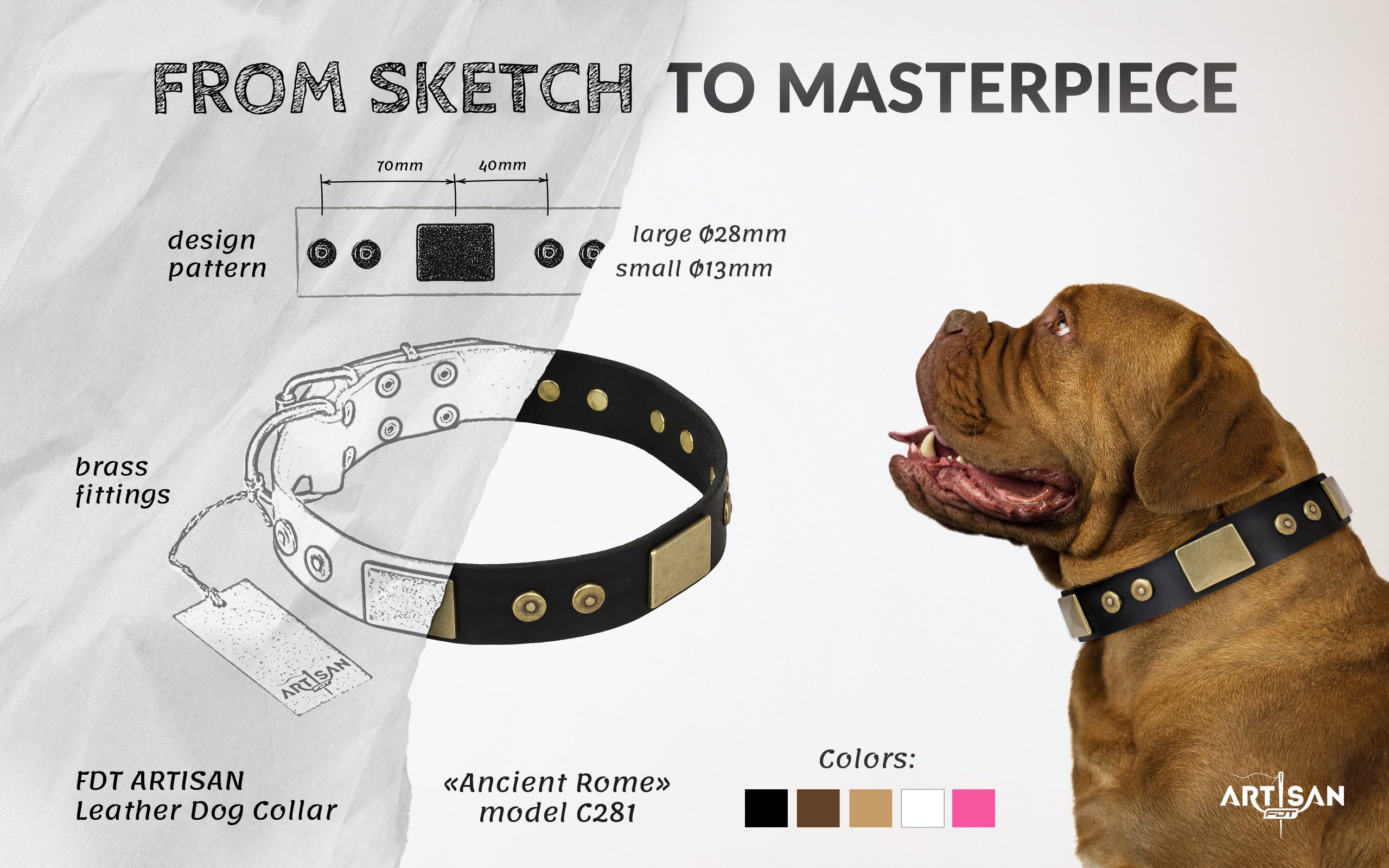 Strong leather dog collar with buckle and D-ring