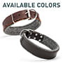 *Boogie wearing our exclusive Padded Leather dog collar - C24_5
