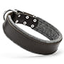 *Boogie wearing our exclusive Padded Leather dog collar - C24_5