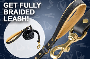 Leather Dog Leash