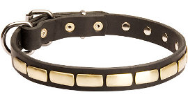 Gorgeous Leather Dog Collar - Fashion Exclusive Design - Special25plates
