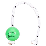 "Favorite Toy" Green Plastic Dog Ball with a Magnet Inside - 2 1/3 Inches Diameter "Favorite Toy" Green Plastic Dog Ball with a Magnet Inside - 2 1/3 Inches Diameter