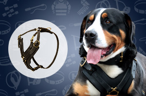 Leather Dog Harness