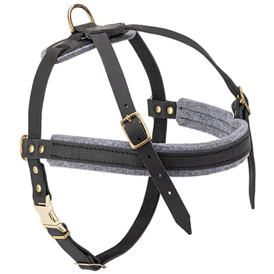 Leather dog harness