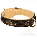 Royal Nappa Padded Hand Made Leather Dog Collar