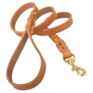 dog leash