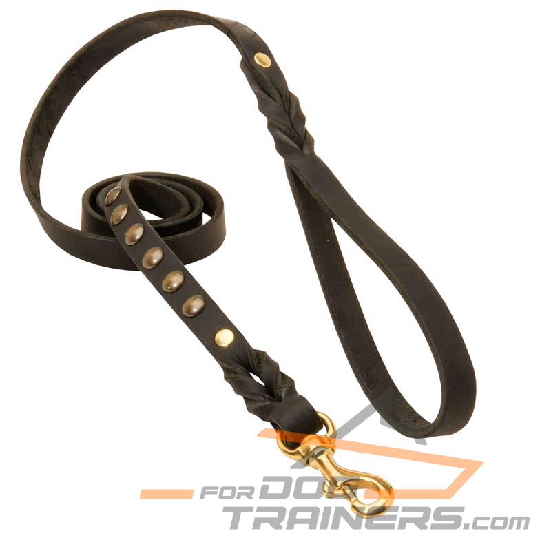 Braided Leather Dog Leash with Brass Hardware