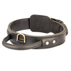 Heavy Duty Best Dog Collar for Training with Handle