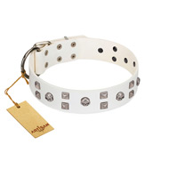 "Rock the Sky" Durable FDT Artisan White Leather Dog Collar with Chrome-plated Decorations "Rock the Sky" Durable FDT Artisan White Leather Dog Collar with Chrome-plated Decorations
